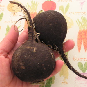 Black Radish